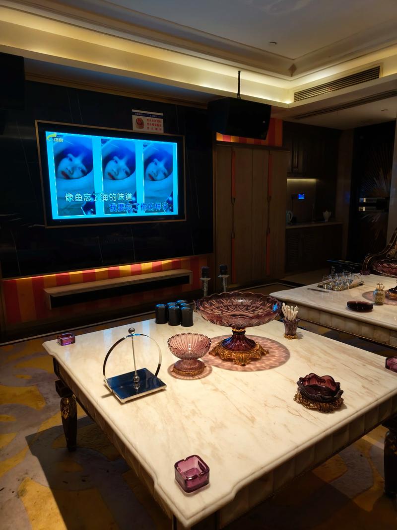 驻马店商务ktv了解一下-上蔡县ktv预定